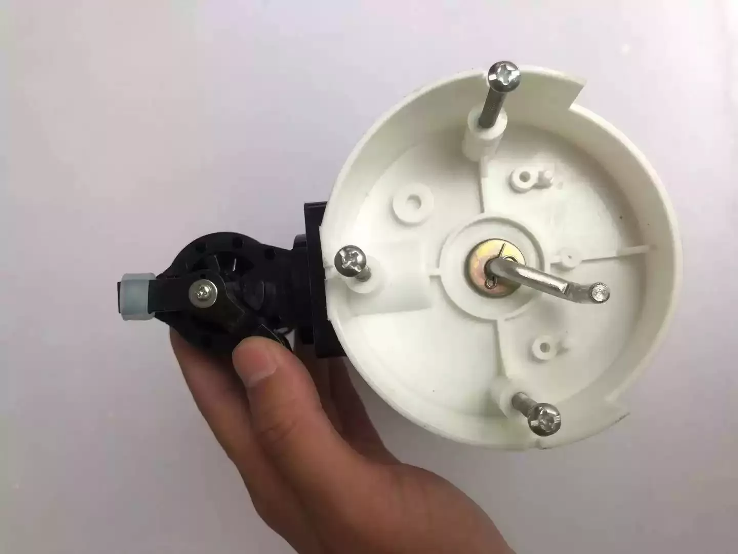 bán ống màu cơ