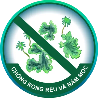 chống rêu mốc