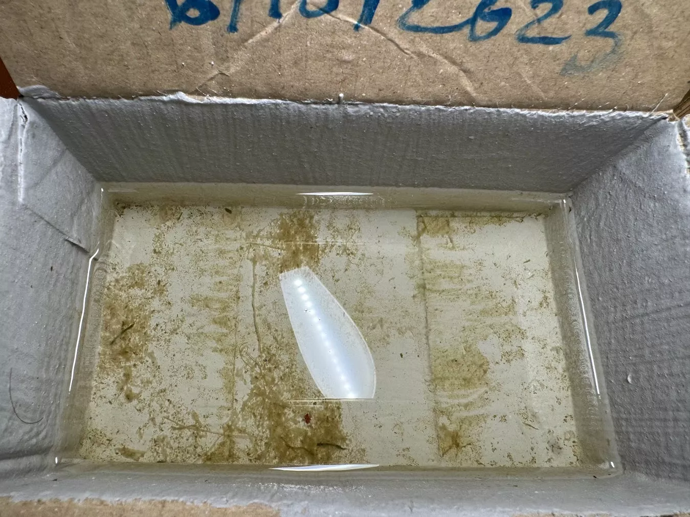 sơn chống thấm bluezone 7 in 1